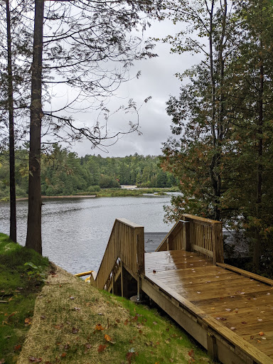 Tahquamenon State Park - Lower Falls Hemlock