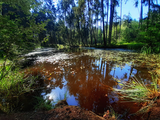 Deglweiher - Visual