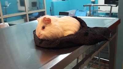 Photos of Veterinaria Exovet