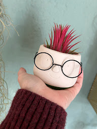 Photo n°51 de Florever à Argelès-sur-Mer (Service de plantes d'intérieur)