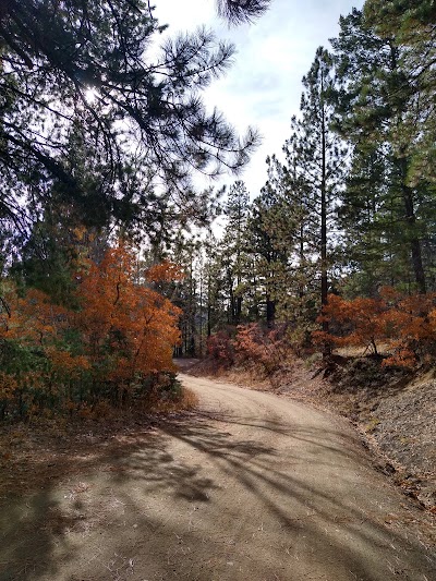 Aspen Basin Campground