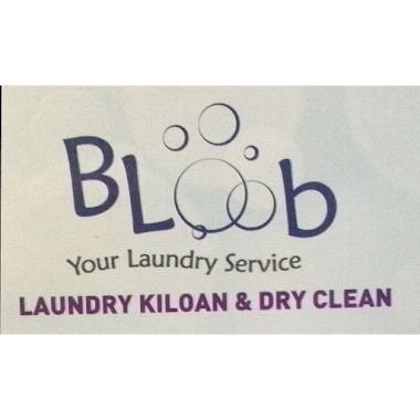 Bloob Laundry, Author: Bloob Laundry