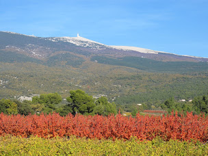 Photo n°3 de Ushuaïa Villages Provence Ventoux à Sault (Piscine extérieure)