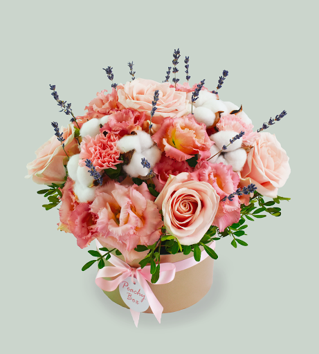 Peachy Box - Visual