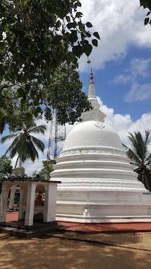 Sala Wanodyaramaya Diyagama, Author: Senanayaka Bandara
