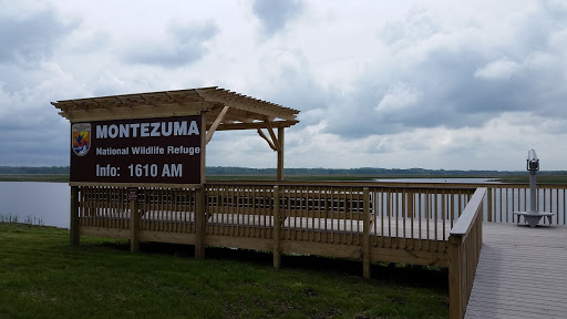 Montezuma National Wildlife Refuge - Thumbnail