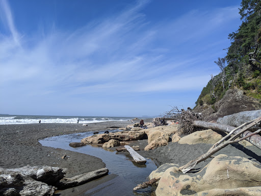 Kalaloch Beach 3 - Thumbnail
