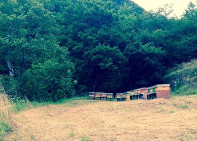 lodging