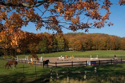 Photos of Blue Oxer Riding Academy