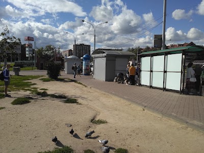 Photos of Mogilevskaya
