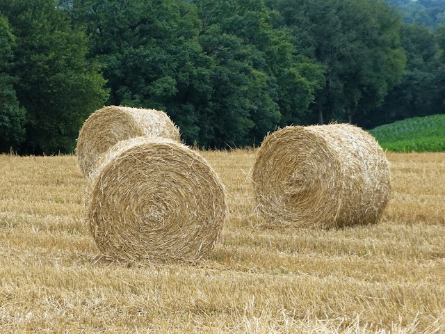 Aire de la Porte de Corrèze