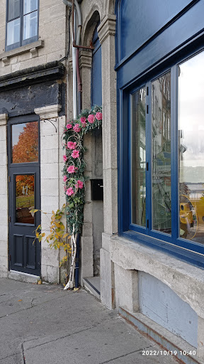 Boutique L'Igloo - Visual