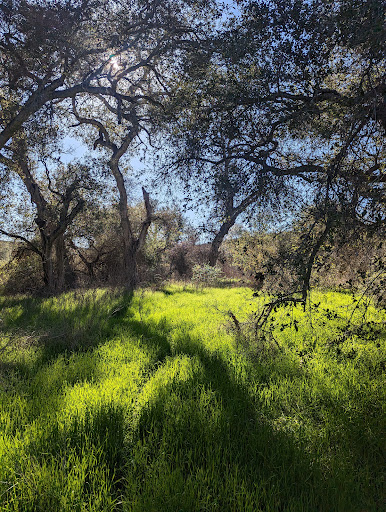 Buena Vista Park - Thumbnail