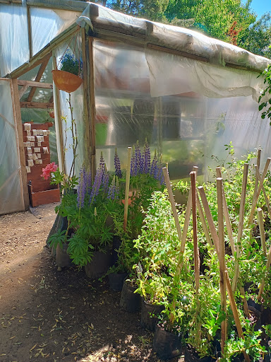 Vivero Manos a la Tierra - Foto 1