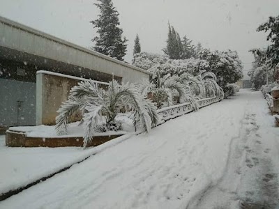 Photos of Cem Aboud Kheitar