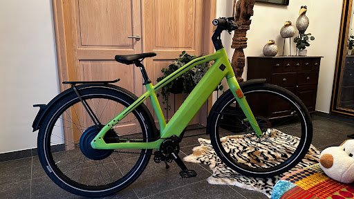 Luxueuze Bikes