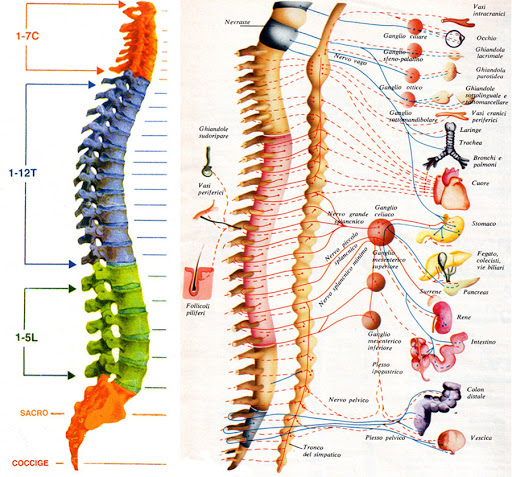 Osteopata Egitto Dott. Giuseppe - Thumbnail
