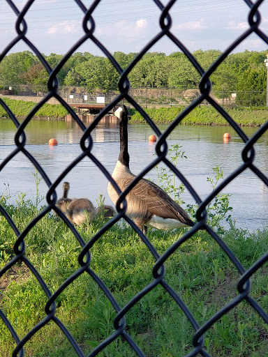 Craner Park - Thumbnail