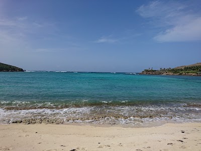 Photos of Coco Rock