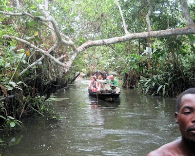 Photos of Omo Forestry Reserve
