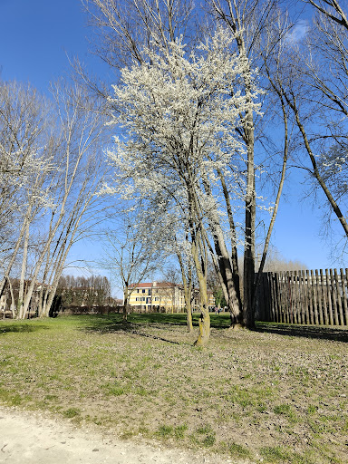 Parco Draganziolo - Thumbnail