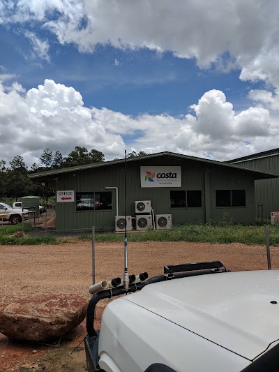 Photos of Costa Pack Shed Walkamin