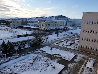 19 Mayıs Üniversitesi Fen Edebiyat Fakültesi