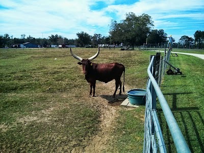 Photos of Paradise Pumpkin Patch