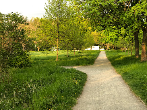 Vienenburg Parkplatz am See - Thumbnail