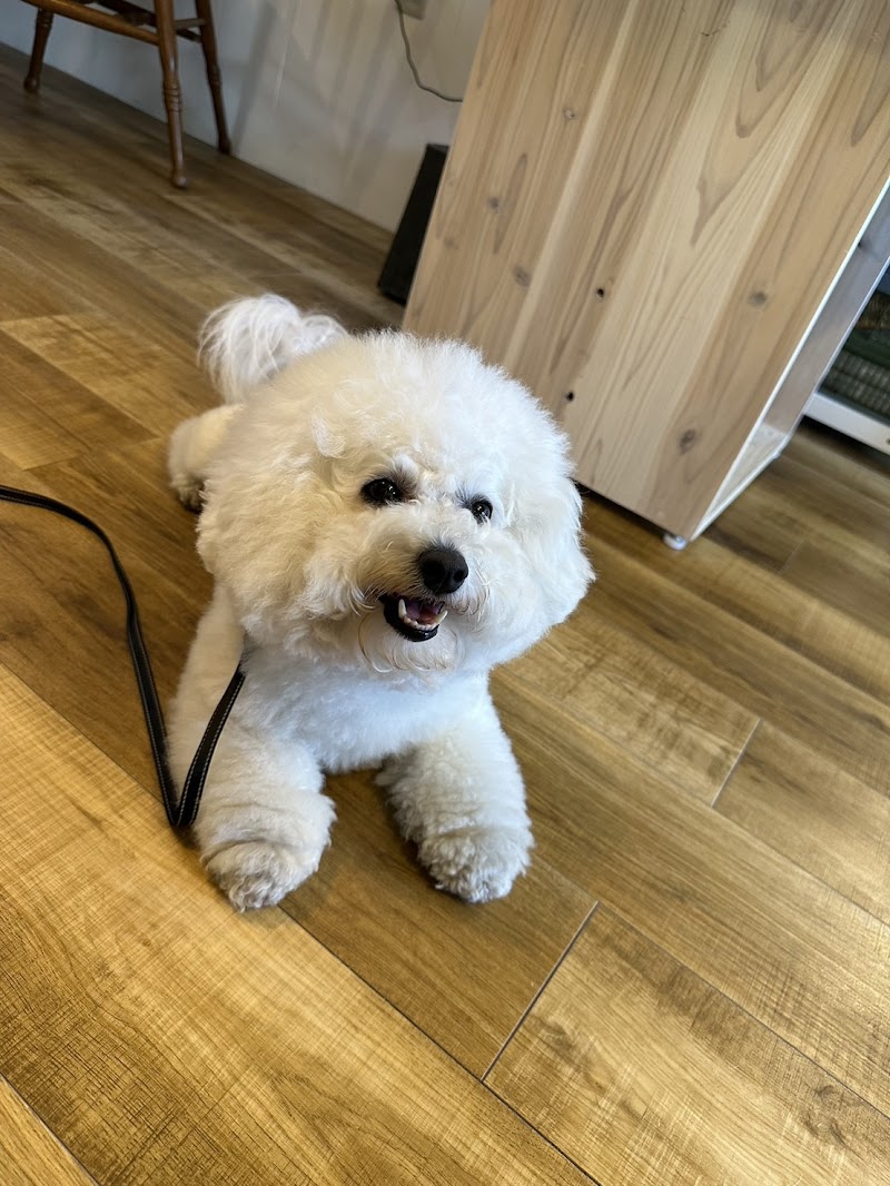 Dog station hakobune