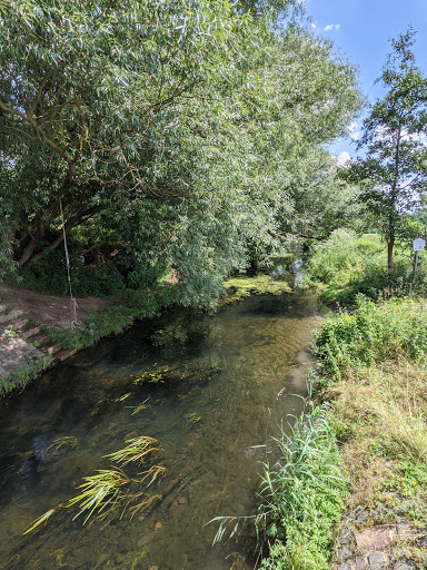 Parthenaue Dewitz