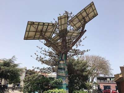 Photos of Square Gustavo Monteiro