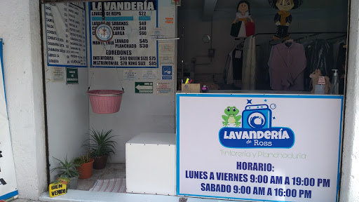 Lavandería de Ross - Thumbnail