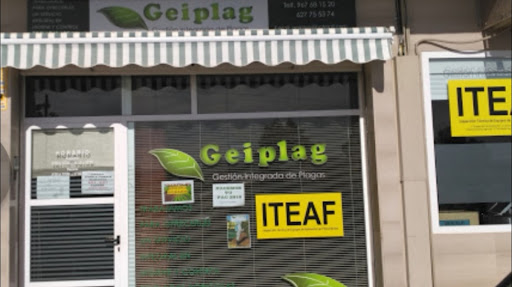 Geiplag