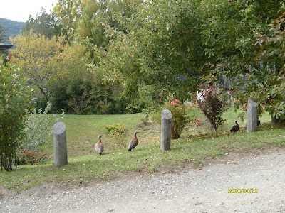 Photos of Bariloche Valle Escondido
