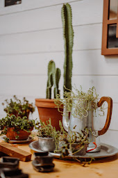 Photo n°16 de Binôme Ateliers à Gap (Magasin d'ameublement et de décoration)