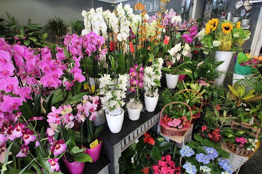 Floristerias Inés Quintana - Thumbnail