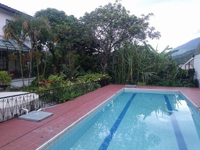 Photos of Las Margaritas