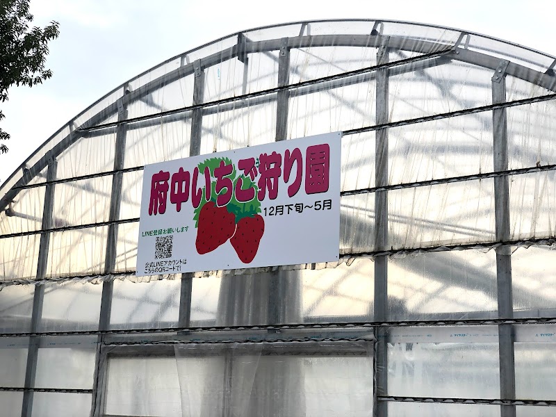 府中いちご狩り園
