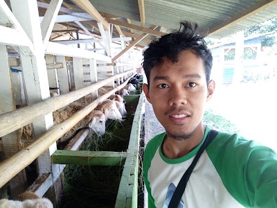 Photos of JAWARA BANTEN FARM