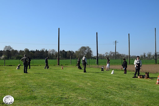 Photo de Club cynophile de Gosné