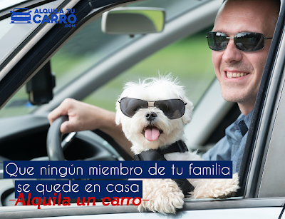 Photos of IN MEDELLIN car rental