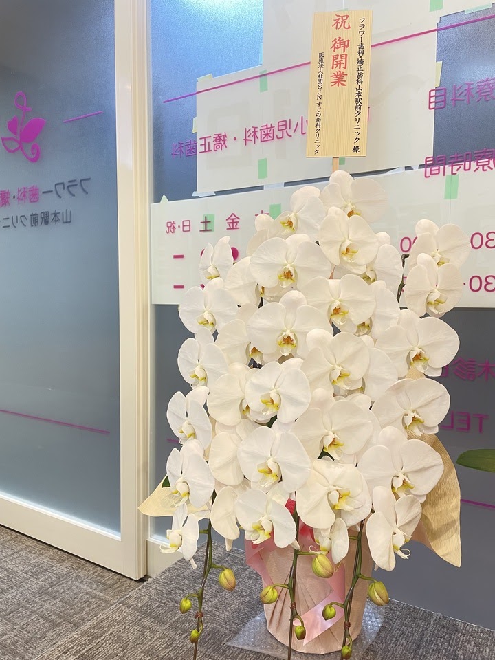 フラワー歯科・矯正歯科 山本駅前クリニック