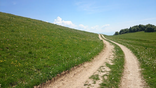 Alpage du Plan, le Salève - Thumbnail