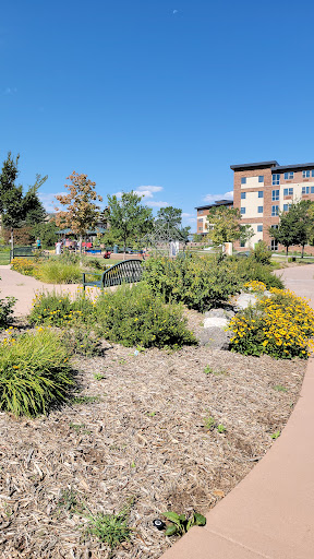 Douglas County Libraries - Visual