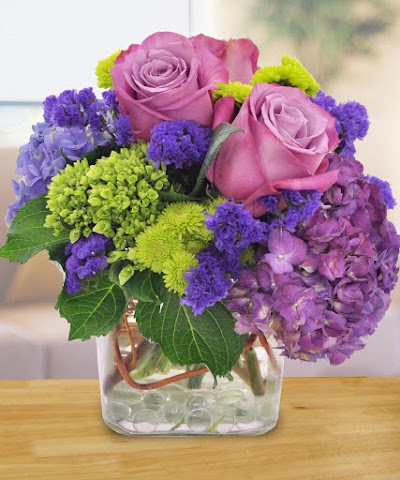 Photos of Brady Street Florist