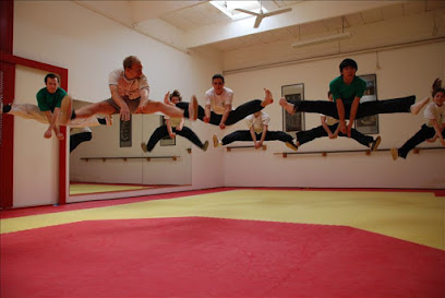 Phoenix-FFM:Taiji-Kungfu-Qigong-Wushu-Meditation
