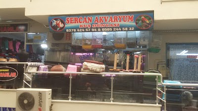 Sercan Akvaryum