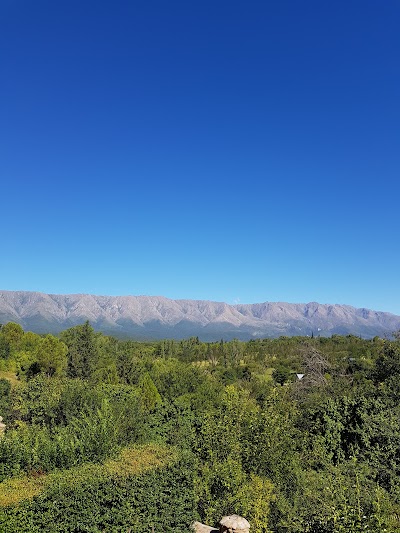 Photos of Casa De Te - Victoria Dulzuras