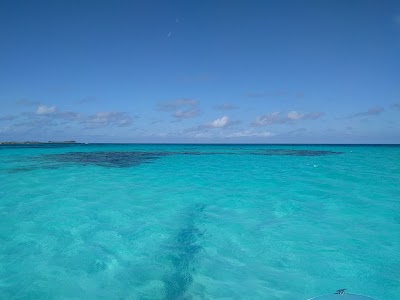 Photos of Dolphin Hotel